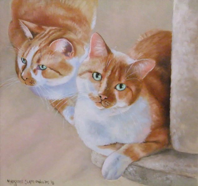 Картины к котовторнику