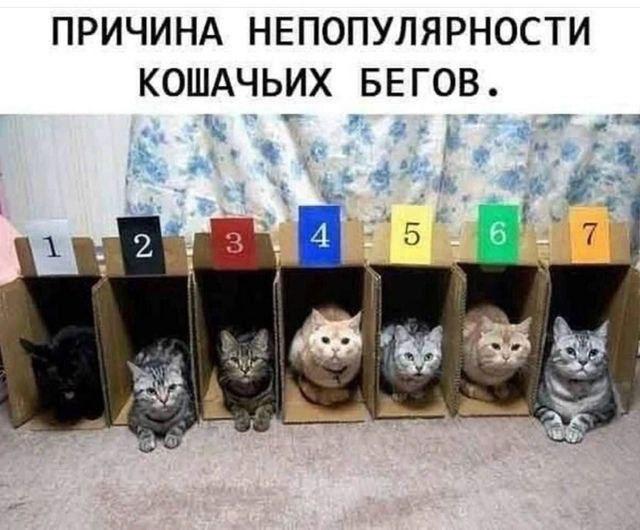 Картинки для деградации 123 (разной степени свежести)