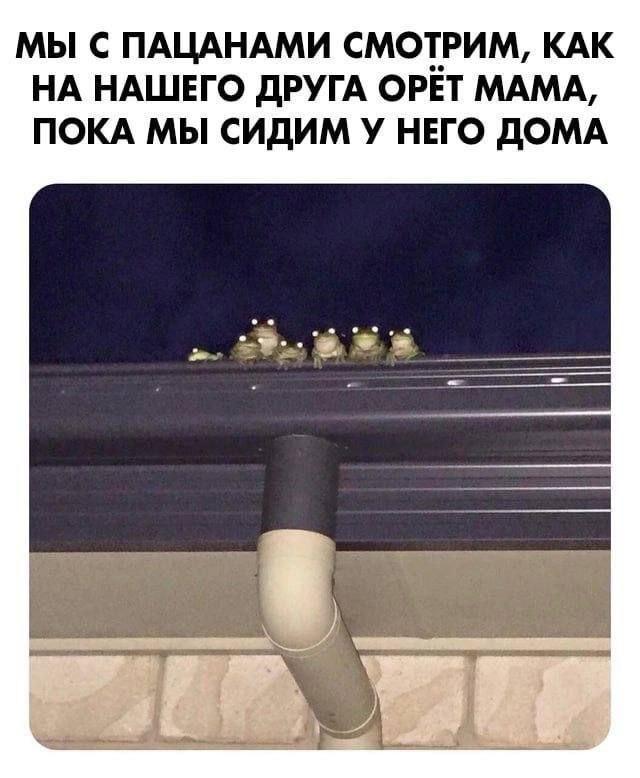 Картинки для деградации 133 (разной степени свежести)