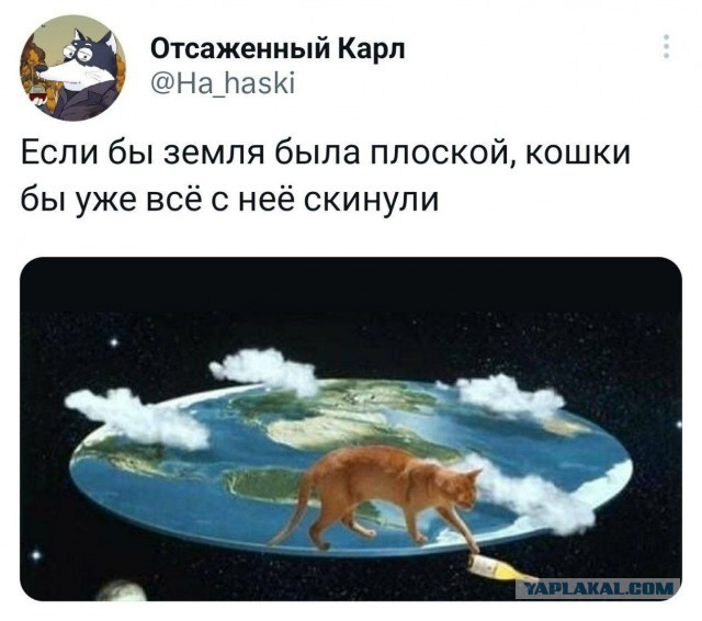 Картинки для деградации 140 (разной степени свежести)