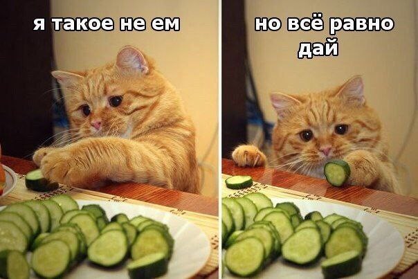 Так себе картинки 03.03.26