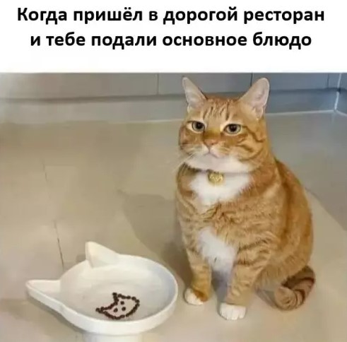 Картиночки, баянчики 26 апреля