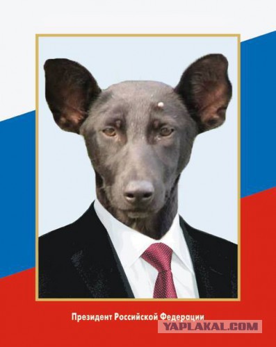 Визуализируем свои ники!