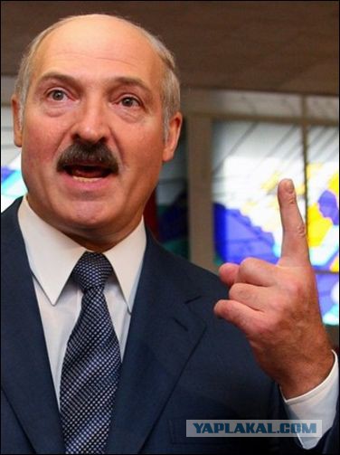 Белорусский трикотаж.