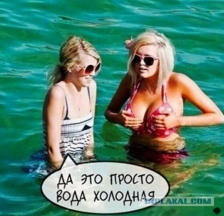 Вроде ничего не забыл в командировку...