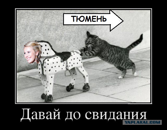 Ксению Собчак не пустили в Тюмень