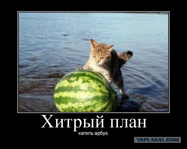Картинки