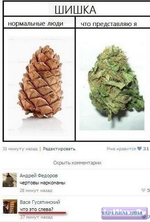 Смешные комментарии из социальных сетей #2