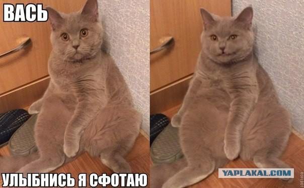 Поднимаем настроение