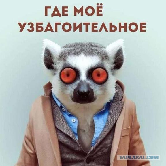 Чай. Узбагоительный.