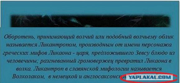 Интересные факты обо всем на свете