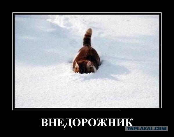 Демотиваторов пост, добавляйте свои