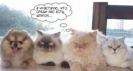 Веселые картинки.