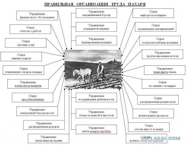 Кадровый состав вашей фирмы во всех ракурсах