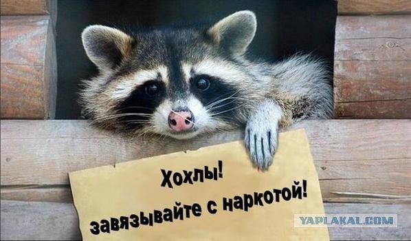 Украина за гранью будущего