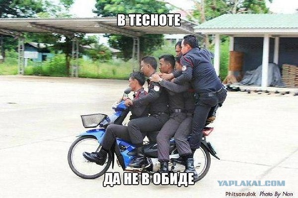 Веселые картинки