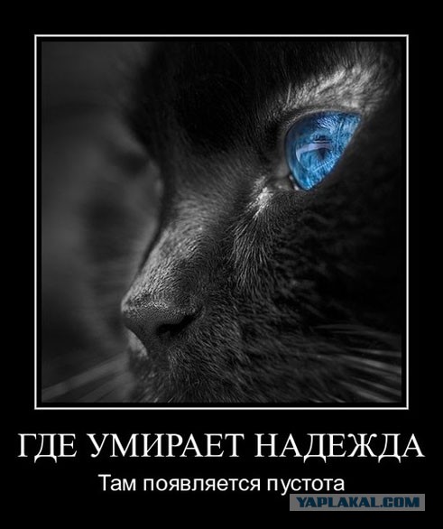 Давно демотиваторов не было