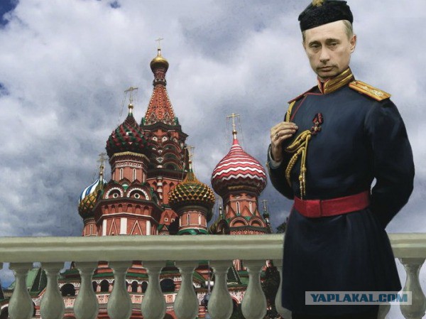 Падение рубля не задело рейтинг Путина