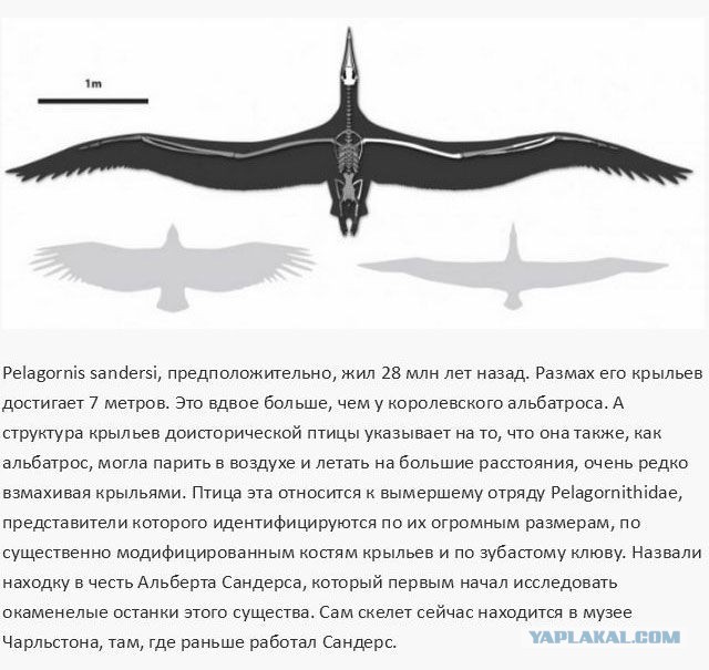 20 фактов обо всем