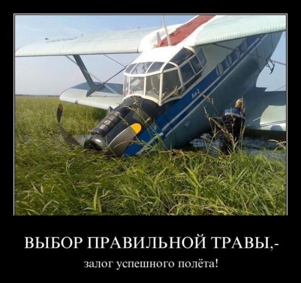 Веселое из сети