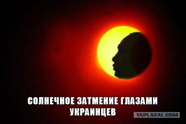 Затмение в Питере