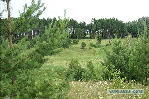 Небольшая дверь в Лето!