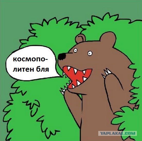 Исследование: каждая вторая россиянка готова