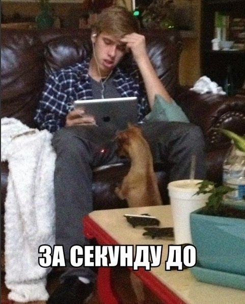 Прикольные картинки
