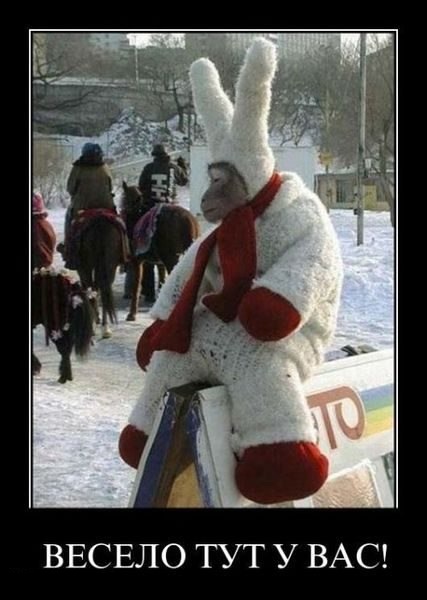 Подборка картинок