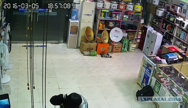 За что я люблю китайцев
