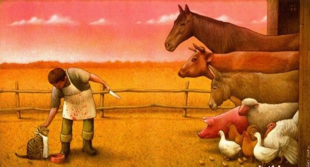 Смешные, прикольные,  и странные картинки