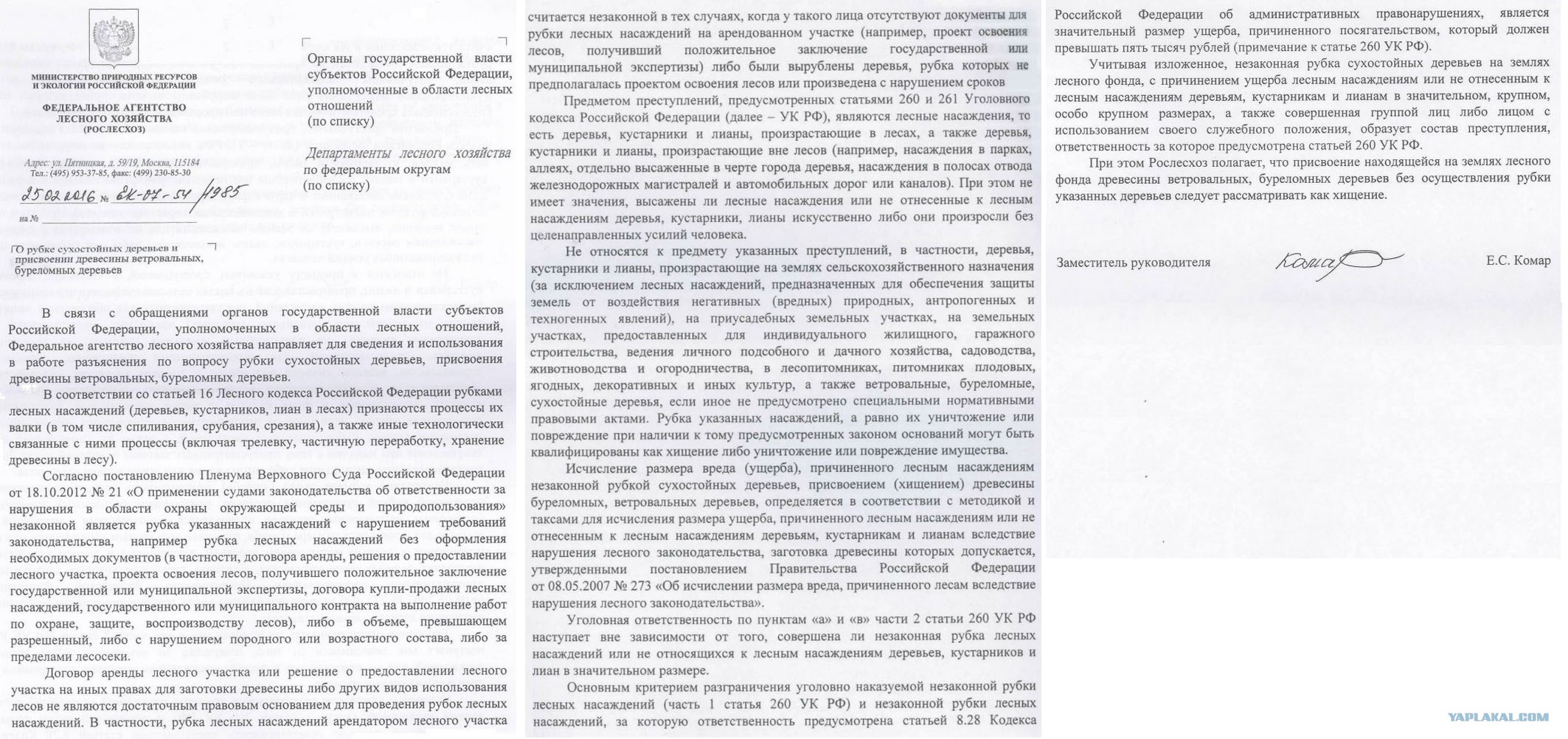 бланки писем в рослесхоз. разъяснения рослесхоза. срок регистрации декларации о сделках с древесиной. письмо в рослесхоз. письмо в рослесхоз.