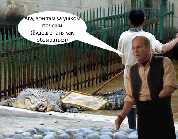 Фотожаба: Придумайте надпись к картинке