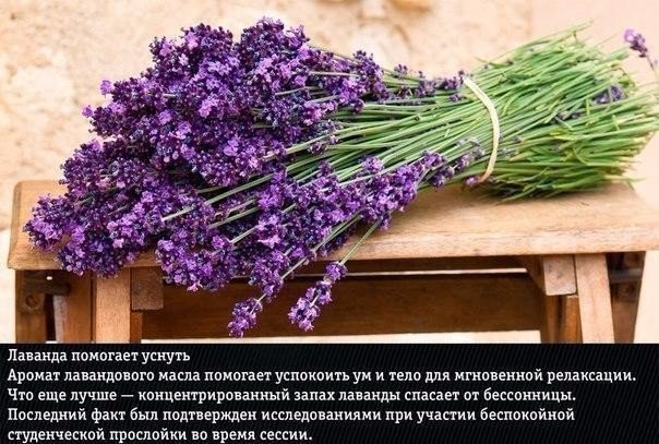 Подборка "тёплых уютных домашних" фотографий, часть 6