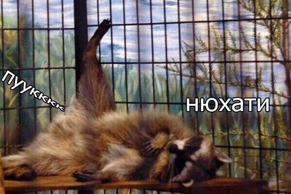 Порция абсурдного юмора на следующую неделю