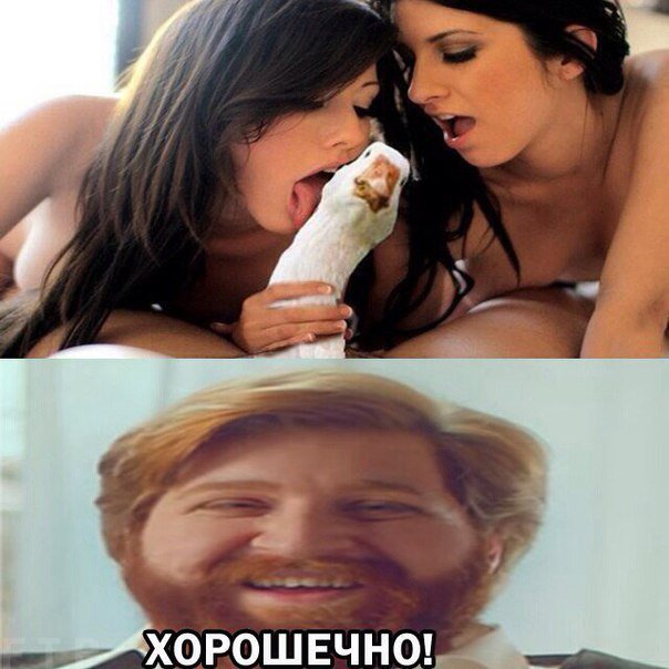 Веселые картинки и скриншоты