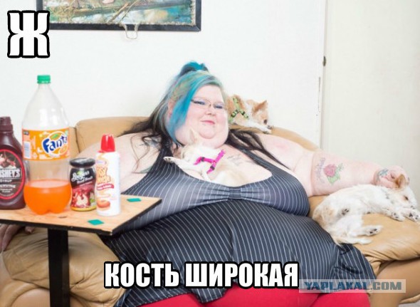 Азбука в картинках