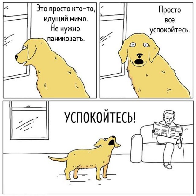 Подборка картинок с юмором "на любителя"