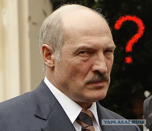 Мужчина наловил 45 килограммов рыбы на 5000 рублей, а потом попытался уйти от погони ГАИ