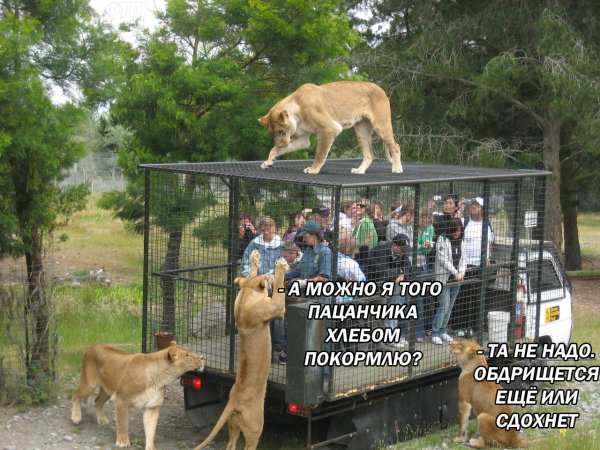 Приколы в стиле "регресс"