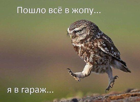 Странный Юмор
