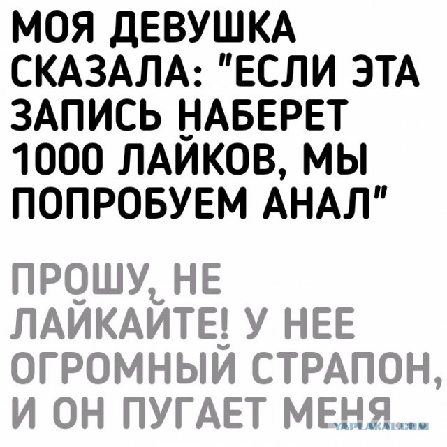 Полигамия