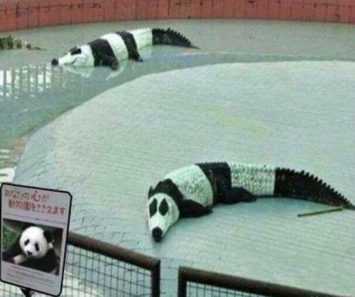 Наркоманских анекдотов с картинками