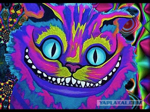 Лёгкое психическое отклонение, часть 11. Картинок пост 16+