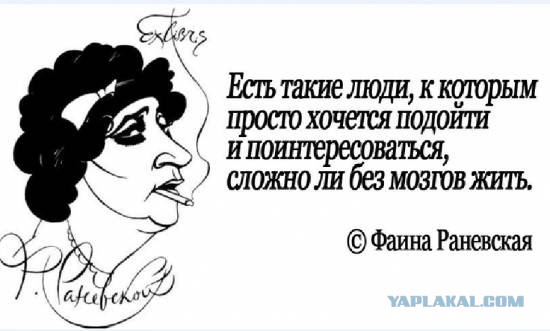 Внимательный водитель