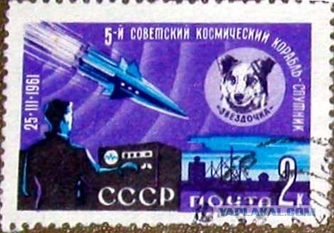 Животные в космосе
