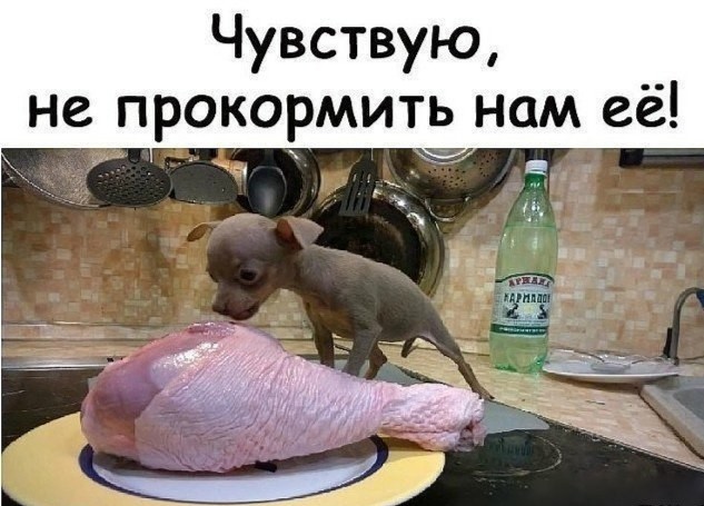 Я тоже хочу попробЫвать с картинками