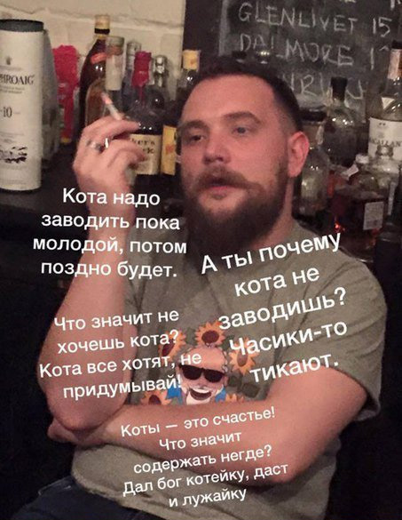 Картинки с надписями и коты, много котов