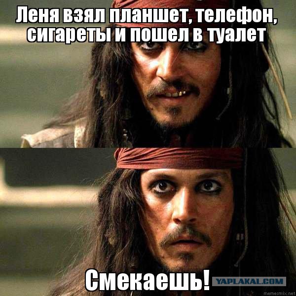 Большинству млекопитающих требуется 12 секунд, чтобы покакать