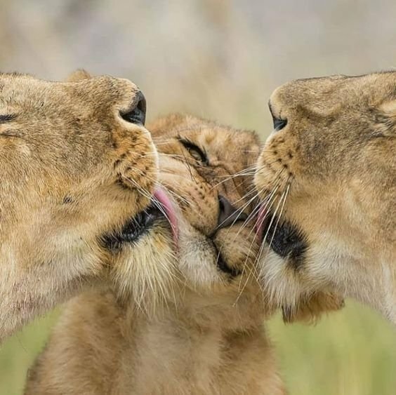 Подборка интересных и веселых картинок 19.04.19